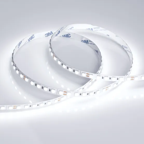 Фото #5 товара Светодиодная лента RT 6-5050-96 24V White6000 3x (480 LED) (Arlight, 23 Вт/м, IP20)