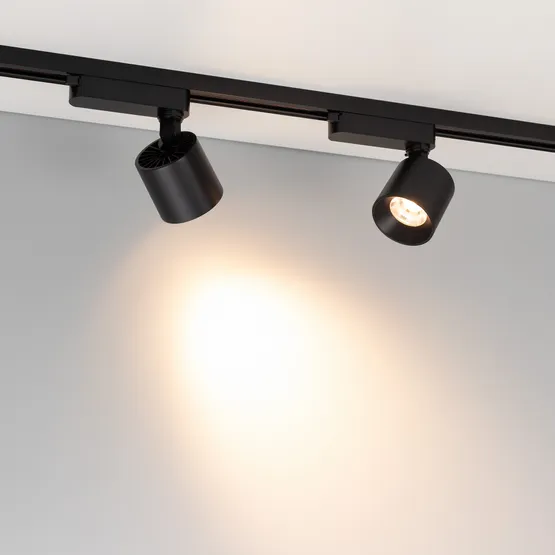 Фото #2 товара Светильник LGD-DYKE-2TR-R75-16W Warm3000 (BK, 50 deg, 230V) (Arlight, IP20 Металл, 5 лет)