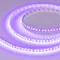 Минифото #1 товара Светодиодная лента RT-A120-8mm 24V Violet (9.6 W/m, IP20, 2835, 5m) (Arlight, -)