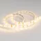 Минифото #2 товара Светодиодная лента RTW 2-5000SE 12V Warm (3528, 300 LED, LUX) (Arlight, 4.8 Вт/м, IP65)