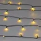 Минифото #4 товара Светодиодная гирлянда Нить Смарт ARD-MOOD-CLASSIC-10000-BLACK-100LED Warm (230V, 3W, Tuya Wi-Fi) (Ardecoled, IP65)