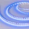 Минифото #2 товара Светодиодная лента RT 2-5000 24V Blue 2x (3528, 600 LED, LUX) (Arlight, 9.6 Вт/м, IP20)
