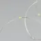 Минифото #3 товара Светодиодная гирлянда ARD-DEW-HOME-2000-CLEAR-20LED-STD White6000 (3V, Battery Pack) (Ardecoled, IP20)
