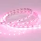 Минифото #4 товара Светодиодная лента RT 2-5000 24V Pink 2x (5060, 300 LED, LUX) (Arlight, 14.4 Вт/м, IP20)