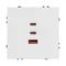 Минифото #4 товара ARL NOBE USB Розетка тип А+С+С софт-тач белый кварц SCT-MUACC-SFPL-FC-WH (65W, QC3) (Arlight, -)